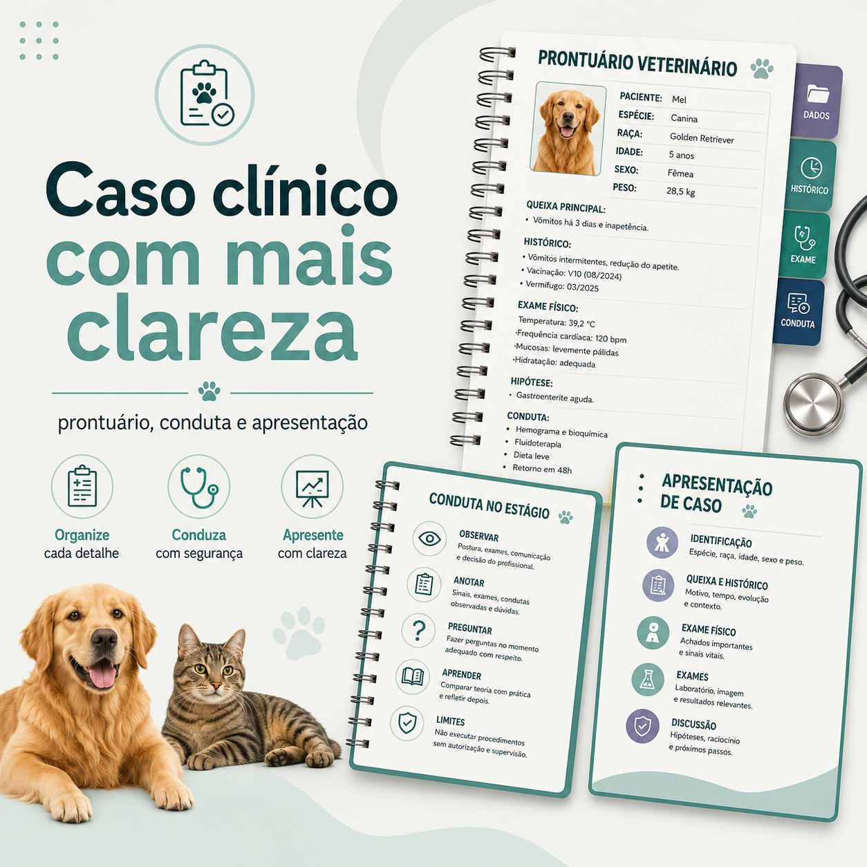 Caso clínico com mais clareza