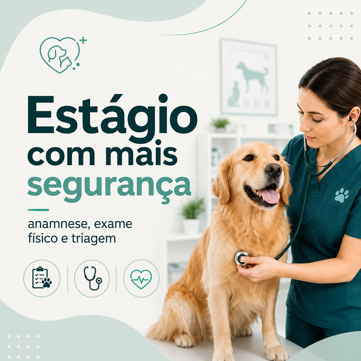 Estágio com mais segurança