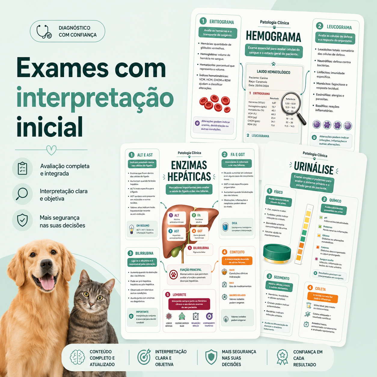 Exames com interpretação inicial