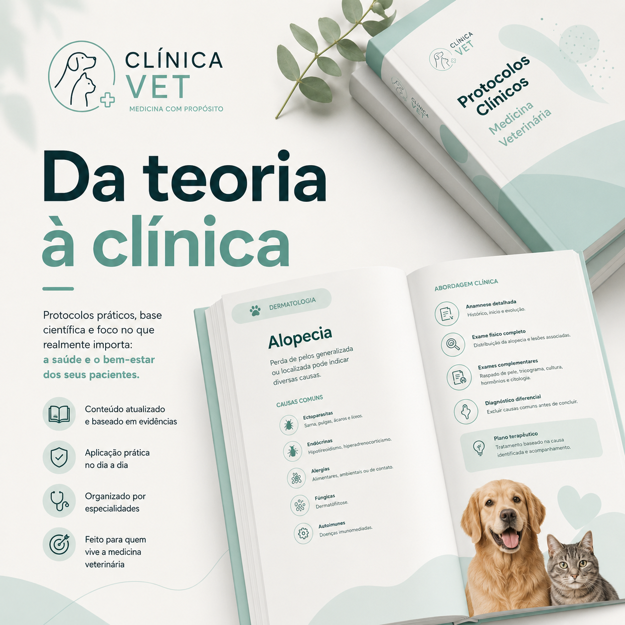 Da teoria à clínica, protocolos clínicos